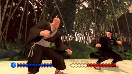 photo d'illustration pour l'article:Le remake de Karateka prevu pour le 14 novembre